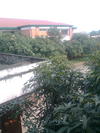 @hinh anh or fim0299